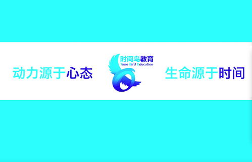 南京時間鳥教育咨詢 引領未來，成就卓越