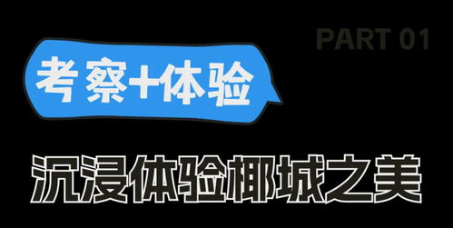 2024年“請進(jìn)來”?？谑钇诼糜萎a(chǎn)品推介活動(dòng)圓滿落幕，助力暑期旅游信息精準(zhǔn)觸達(dá)